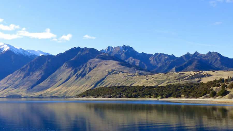 Stevensons Island 2-Hour Cruise and Nature Walk - Who will enjoy this cruise most?
