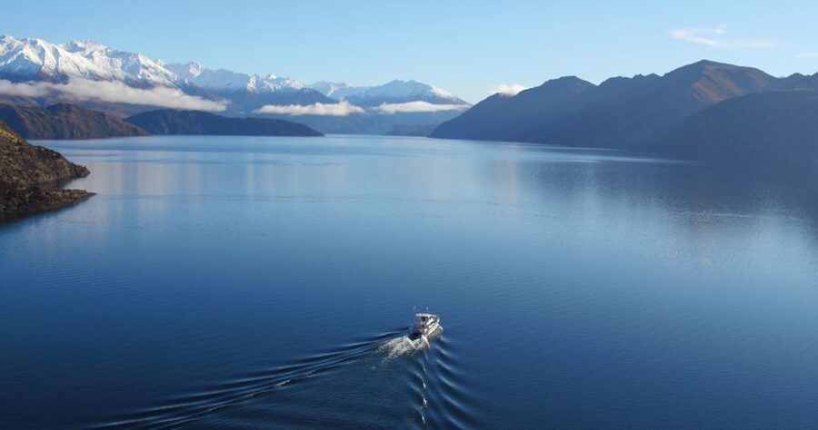 Stevensons Island 2-Hour Cruise and Nature Walk - Practical tips for a smoother outing