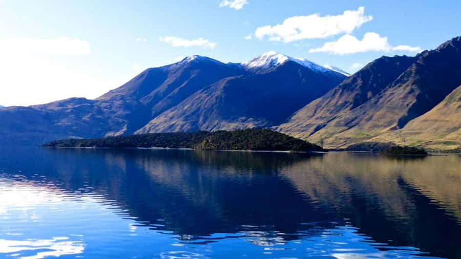 Stevensons Island 2-Hour Cruise and Nature Walk - Should you book Stevensons Island?