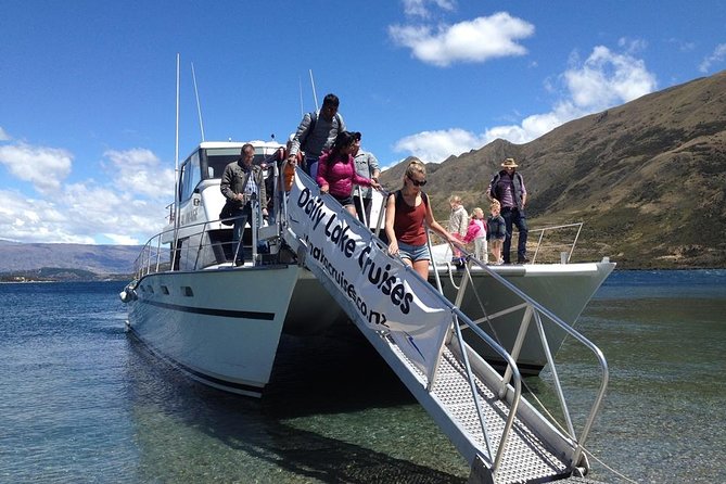 Stevensons Island Cruise and Nature Walk - From 100 Ardmore Street to open water