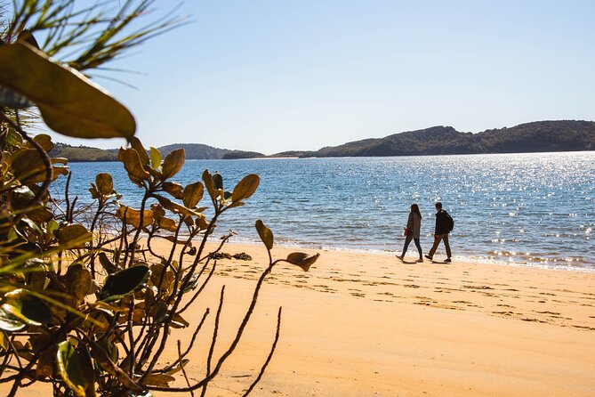 Stewart Island Fly Explore Fly ex Queenstown by Glenorchy Air - Weather, timing, and cancellation rules