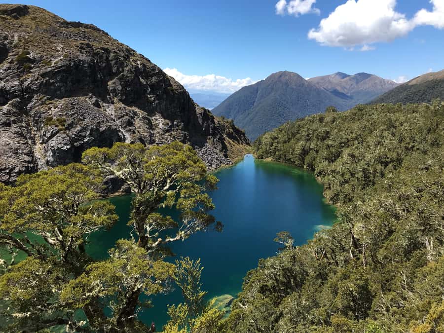 Te Anau: 30-Minute Fiordland National Park Scenic Flight - Five things to know before you fly