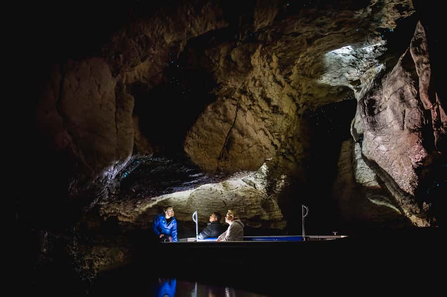 Te Anau: Glowworm Caves Guided Tour - Why the Te Anau glowworm caves are worth your afternoon