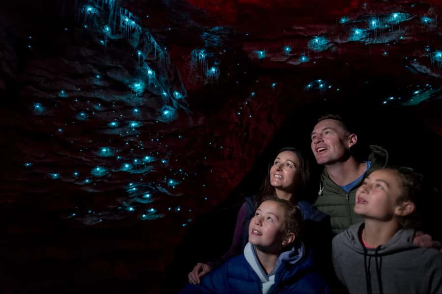 Te Anau: Glowworm Caves Guided Tour - The Lake Te Anau cruise sets the mood