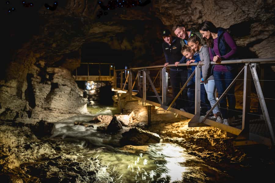 Te Anau: Glowworm Caves Guided Tour - The underground waterfall gives the cave its character