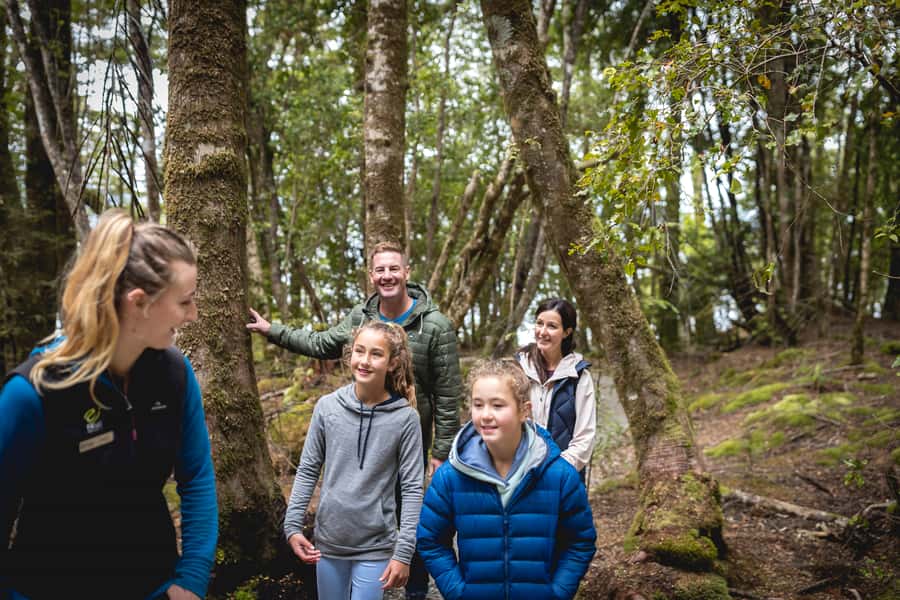 Te Anau: Glowworm Caves Guided Tour - The optional forest experience adds local context
