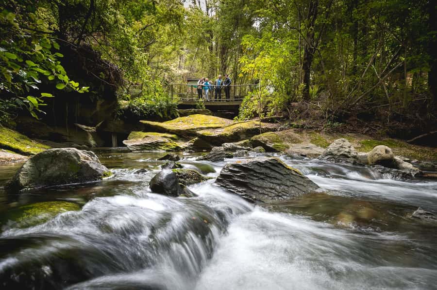 Te Anau: Glowworm Caves Guided Tour - Timing, comfort, and small practical details