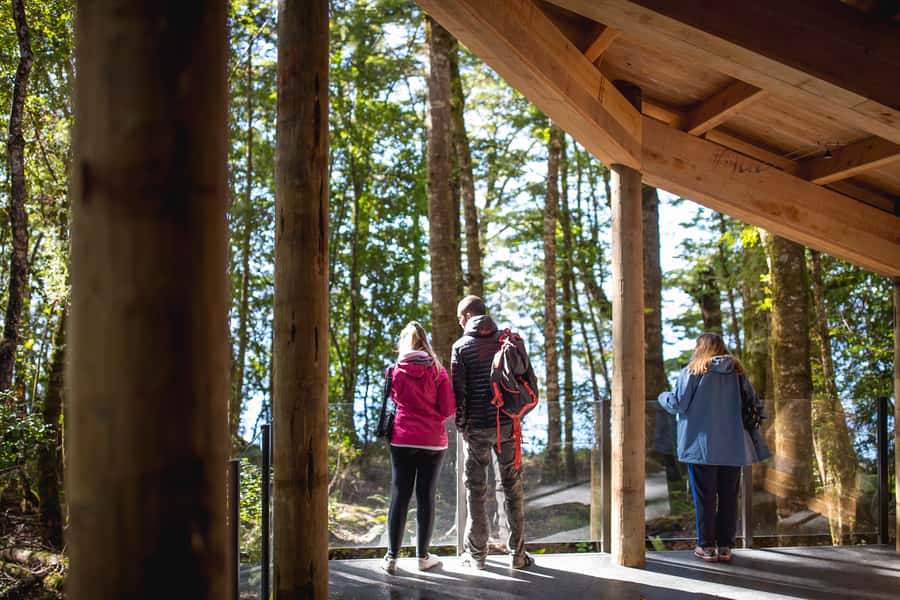 Te Anau: Glowworm Caves Guided Tour - Who should book the Te Anau Glowworm Caves tour?