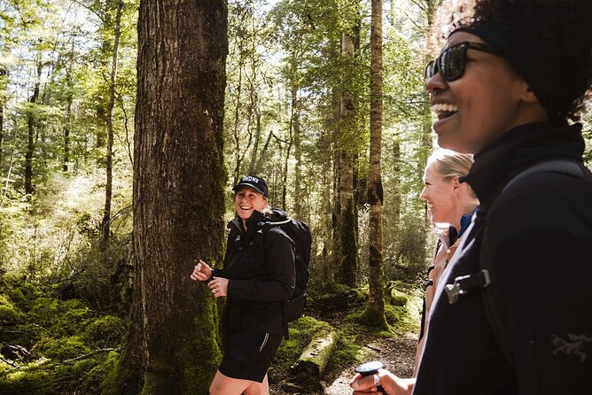 Te Anau Jetboat Experience, Kepler Guided Hike, Transport & Lunch - Why this Te Anau day works so well