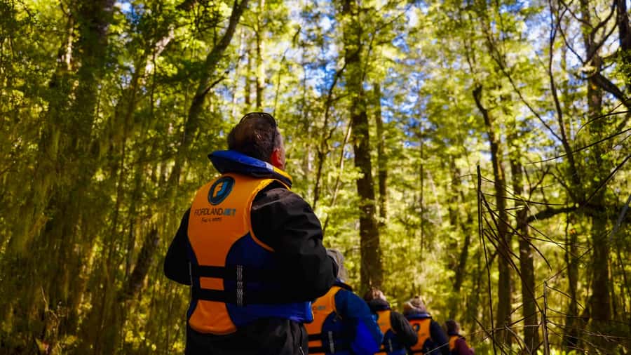 Te Anau: River Jet Boat and Bike Ride Tour with Local Guide - A quiet stop in Fiordland beech forest