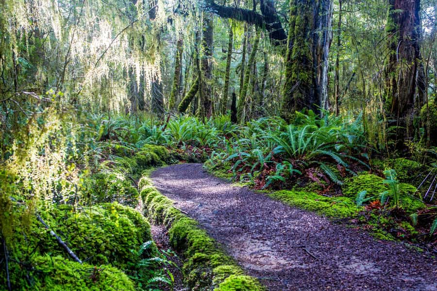 Te Anau: River Jet Boat and Bike Ride Tour with Local Guide - Lake Manapouri and the glacier-carved mountains