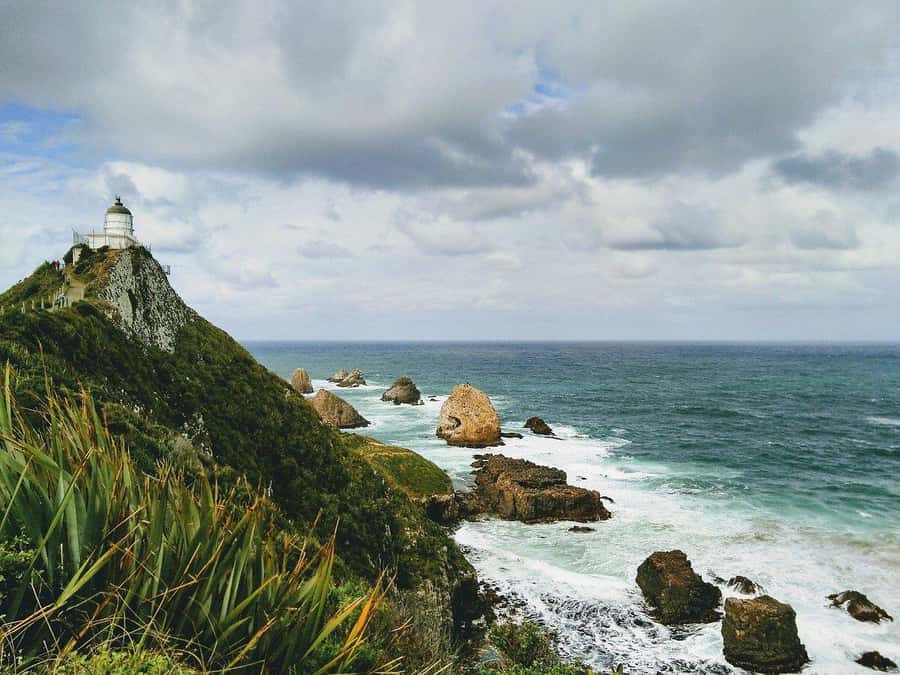 Te Anau to Dunedin via the Catlins & Invercargill 1 Way Tour - The final drive into Dunedin