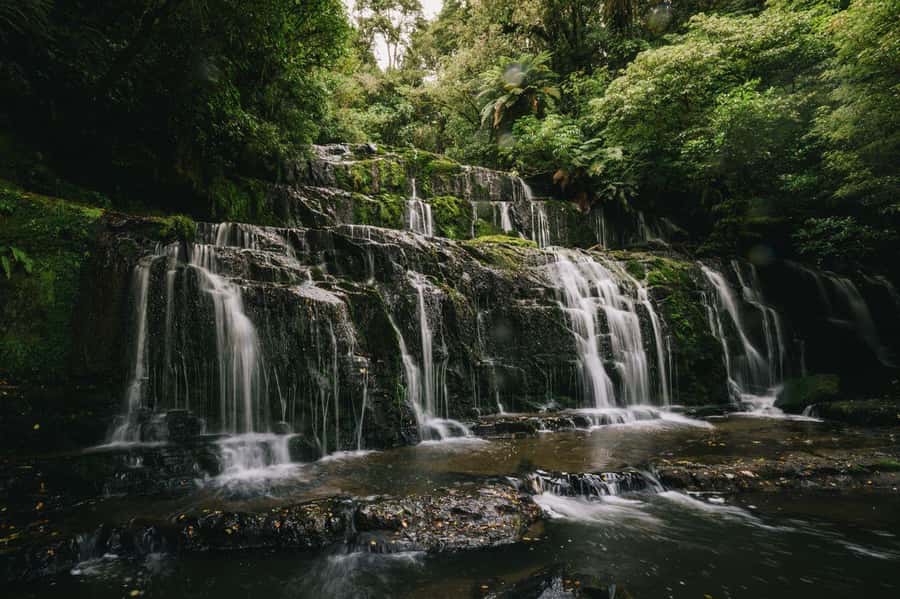 Te Anau to Dunedin via the Catlins & Invercargill 1 Way Tour - A 7:00am start from Te Anau