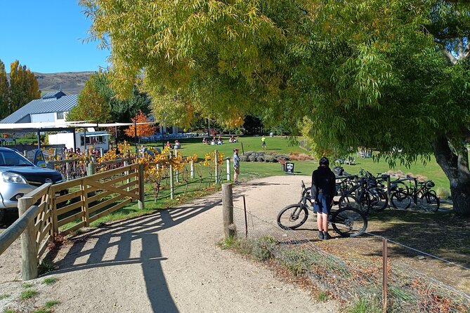 The Ultimate Lake Dunstan Bike Hire And Boat Experience - Why the one-way Lake Dunstan plan works so well