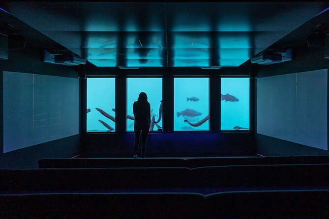Time Tripper Queenstown - The underwater observatory is the real-world finale