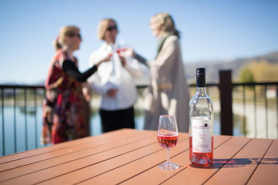 Wanaka: Afternoon Boutique Wine Tour - Meeting the people behind the bottles