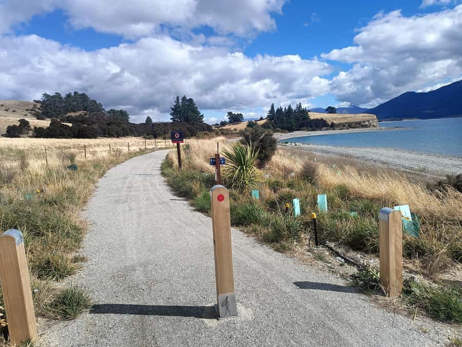 Wānaka And Hāwea: Trail Ride on Bike or E-Bike - The Clutha River section needs more attention
