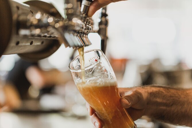 Wanaka Breweries E-Bike Tour - Fitness, Timing, and Weather