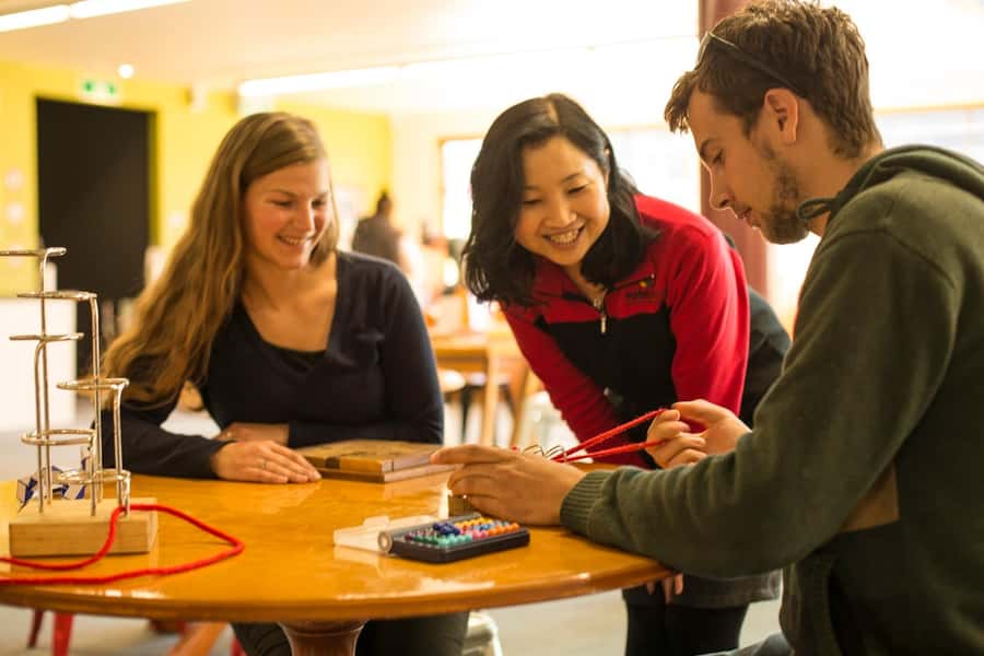 Wanaka: Combo Entry to Puzzling World - Who will enjoy it most