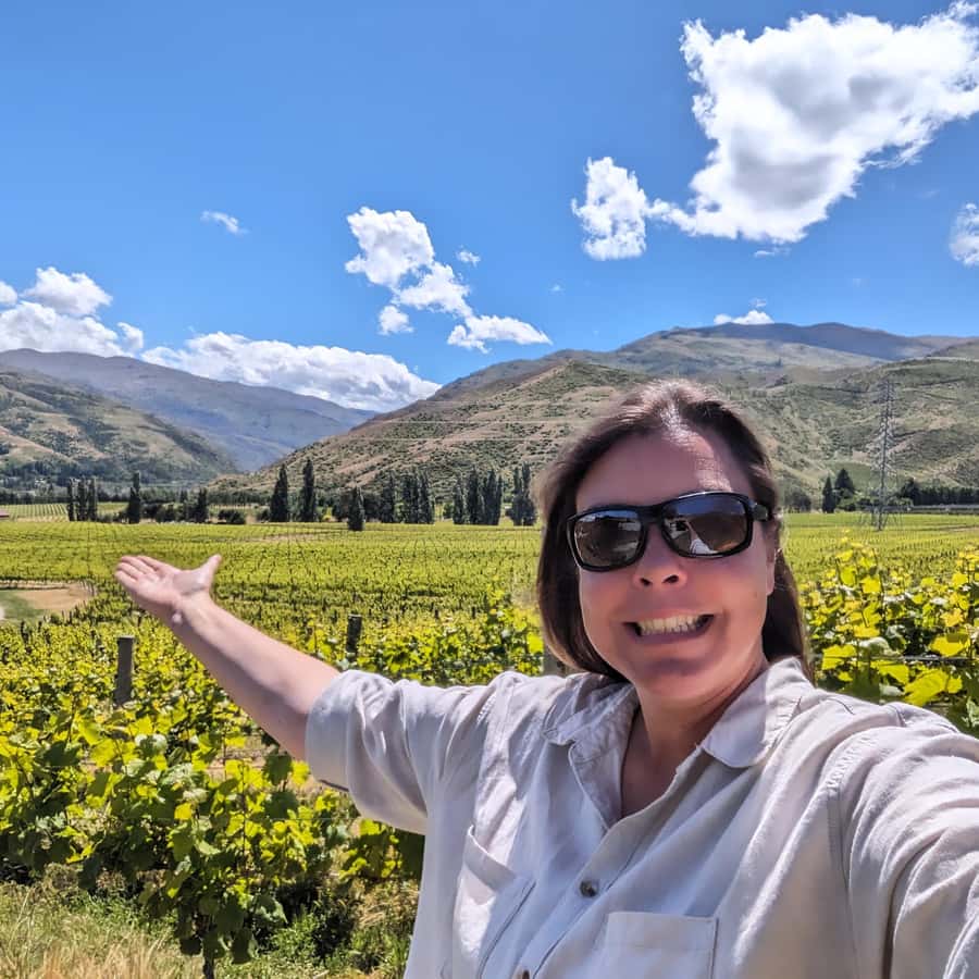 Wanaka: Full Day Wine Tour Hidden Gems - Tasting Central Otago one winery at a time