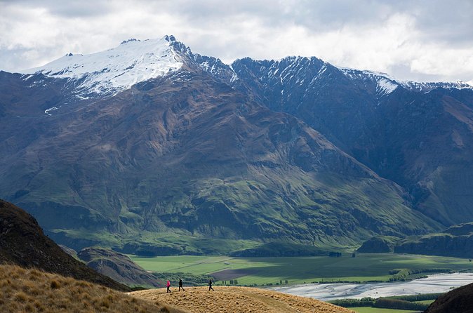 Wanaka High Country Walk - How the price compares with the experience
