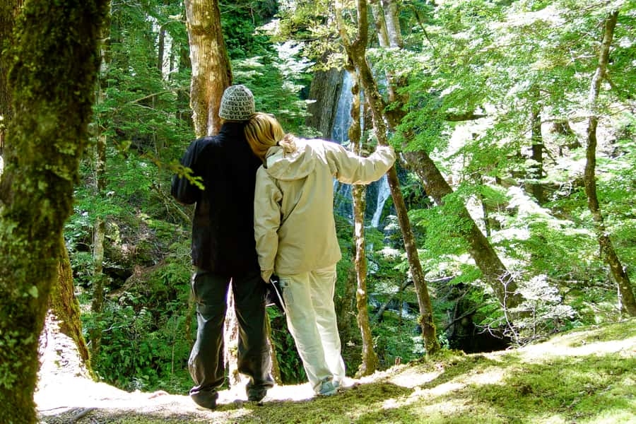 Wanaka: Jet Boat & Wilderness Walk - Glaciers, Mount Aspiring, and movie country