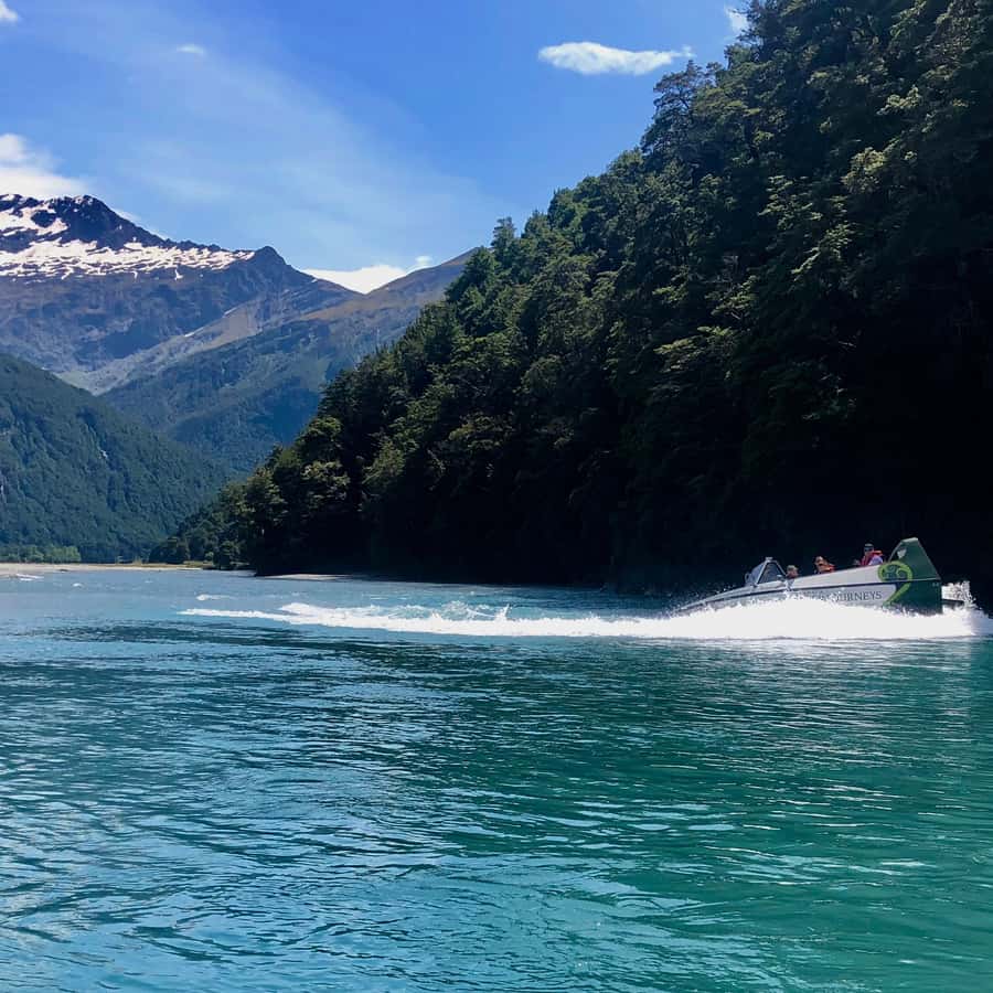 Wanaka: Jet Boat & Wilderness Walk - The return ride completes the half-day