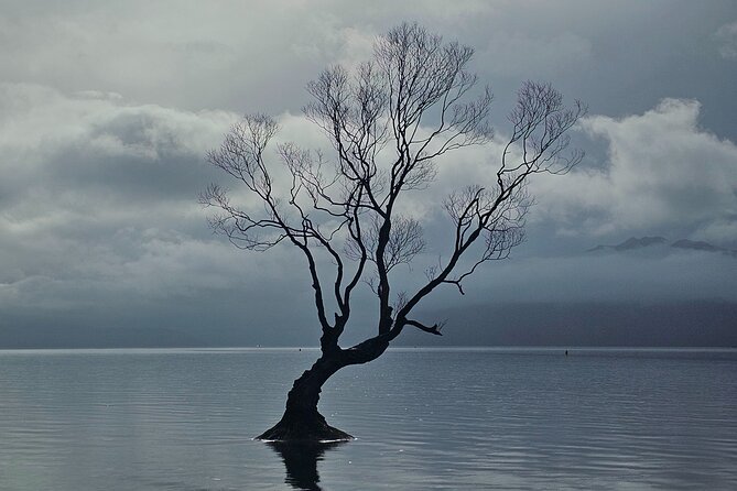 Wanaka Private Day Trip from Queenstown: TravelnGo - The Crown Range road delivers the day’s big views