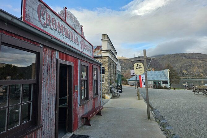 Wanaka Private Day Trip from Queenstown: TravelnGo - Wanaka town and That Wanaka Tree