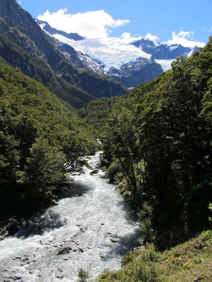 Wanaka: Rob Roy Glacier Guided Hike with Lunch - Who will enjoy this hike most?