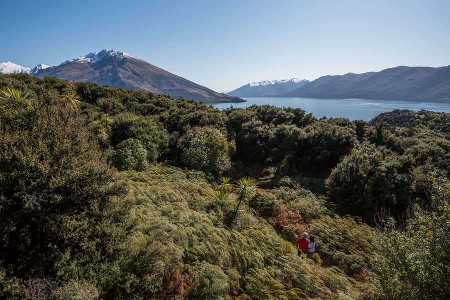 Wanaka Water Taxi Mou Waho Island Tour - Why Mou Waho Is More Than a Lake Cruise