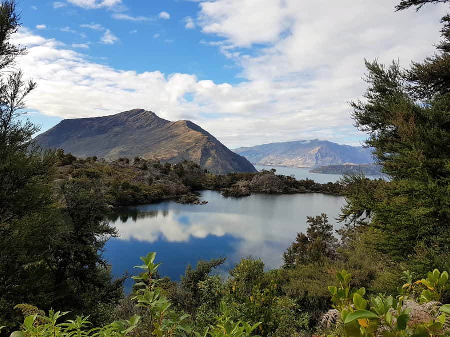 Wanaka: Water Taxi & Mou Waho Island Tour - A swim, a snack, and time to slow down
