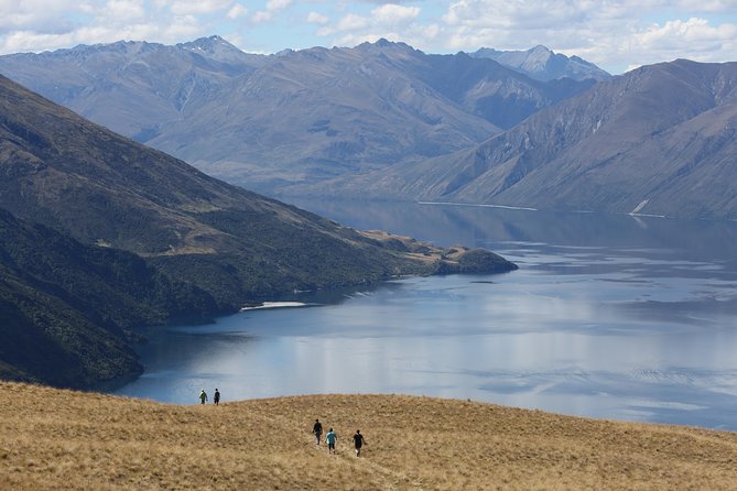 Wild Hills Off Road Safari - Climbing to 1,000 metres above Lake Wānaka