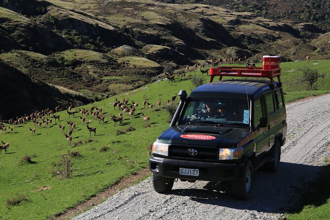 Wild Hills Off Road Safari - Red deer and the working farm setting