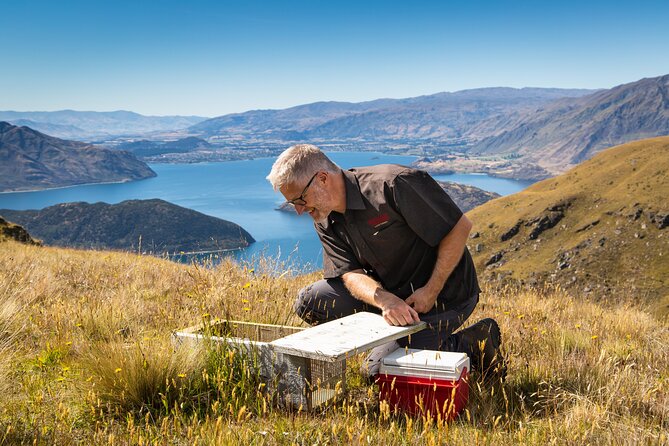 Wild Hills Off Road Safari - Coffee, treats, and a private alpine café