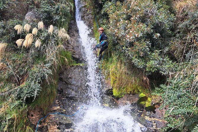Wildwire Wanaka- Climb & Canyon (4-5 Hours) - Starting with the Level 1 cable climb