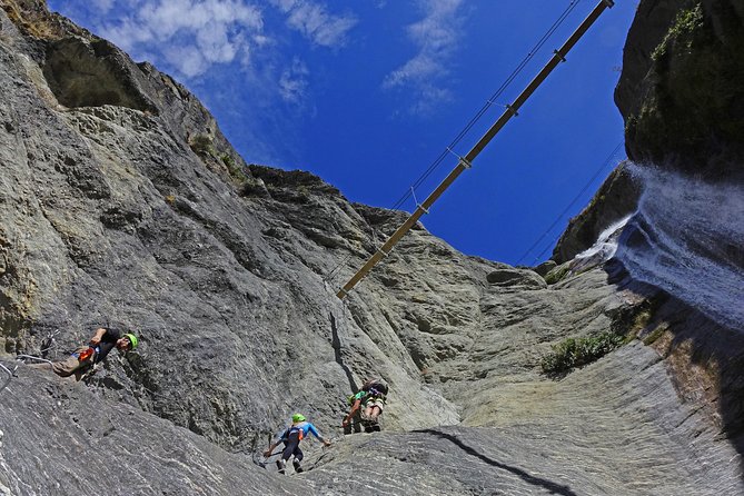 Wildwire Wanaka- Level 2 (4 Hours) - How hard is the climb?
