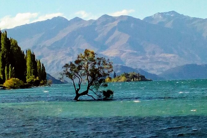 Wine Tasting Adventure Wanaka and Beyond - Why this is more than a Wanaka wine tasting