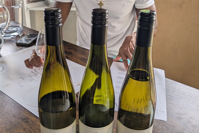 Wine Tasting Adventure Wanaka and Beyond - Lunch, conversation, and five winery visits