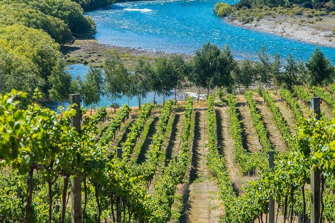Wine Tour with Wine Tasting from Wanaka - Rippon and the character of independent vineyards