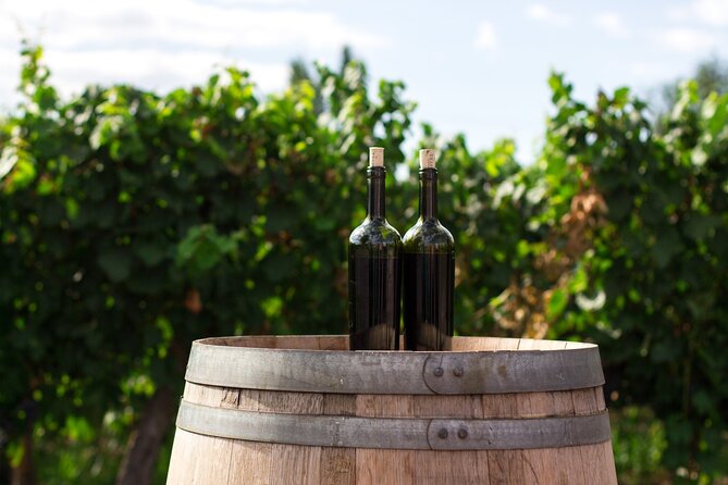 Wines and Views Private Wine Tour of Otago from Queenstown - Vineyard lunch with local wine
