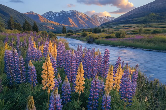 Wines and Views Private Wine Tour of Otago from Queenstown - What the private format really gives you