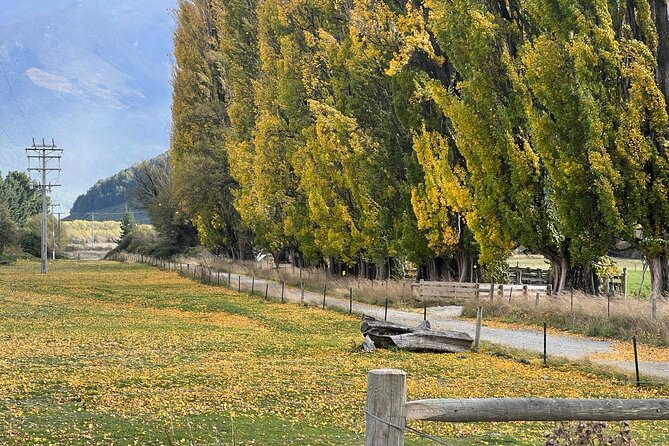 Wines and Views Private Wine Tour of Otago from Queenstown - Who should book this wine tour?
